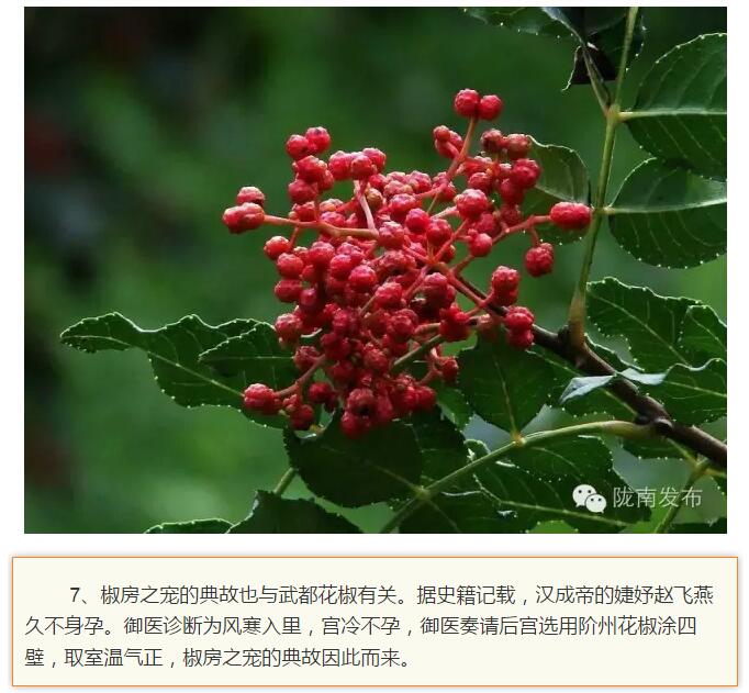 蘭渝鐵路最早由孫中山先生提出？在隴南，你不知道的事兒還有……