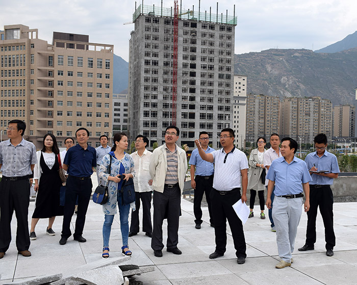 省、市聯(lián)合工作組蒞臨階州廣場檢查指導(dǎo)工作