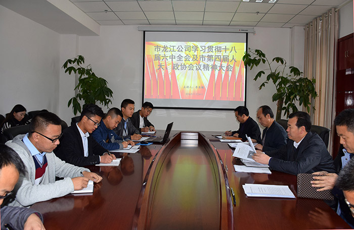 市龍江公司召開(kāi)全體員工大會(huì)，專(zhuān)題傳達(dá)學(xué)習(xí)上級(jí)會(huì)議精神
