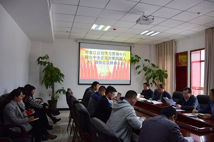 市龍江公司召開(kāi)全體員工大會(huì)，專(zhuān)題傳達(dá)學(xué)習(xí)上級(jí)會(huì)議精神