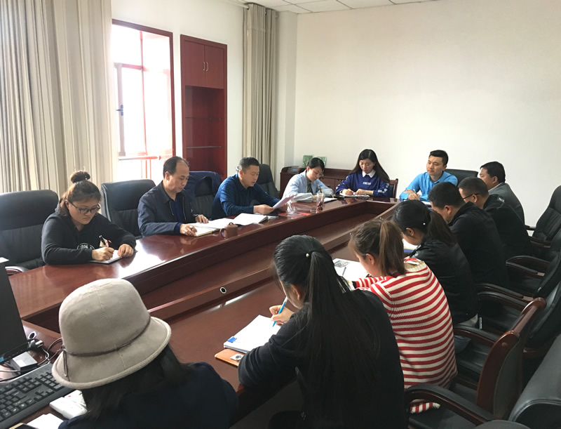 市龍江城鄉(xiāng)發(fā)展集團(tuán)專題學(xué)習(xí)近期中央、省、市紀(jì)律檢查委員會(huì)議精神