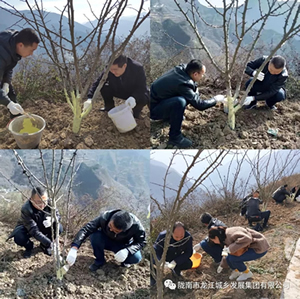 市龍江集團(tuán)在文縣橋頭鎮(zhèn)安子坡村開展“解難題、辦實(shí)事、送溫暖”活動