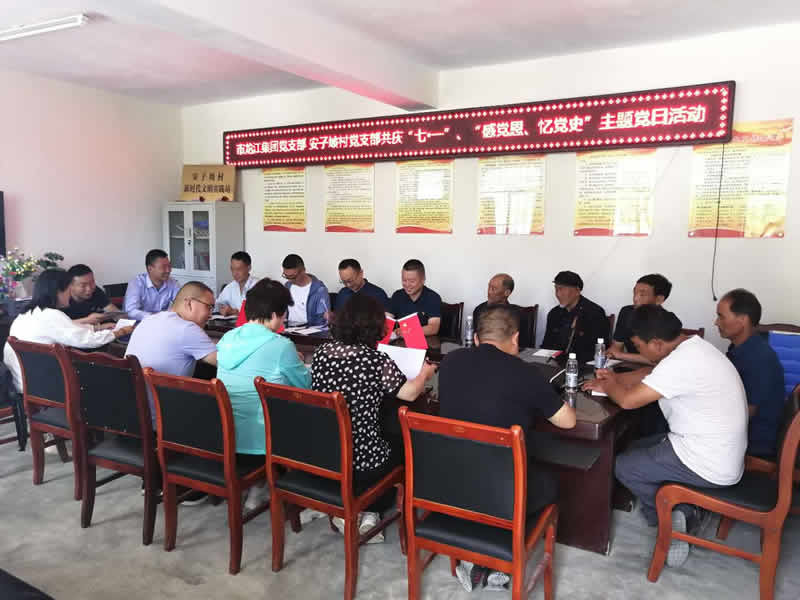 “感黨恩、憶黨史”，--市龍江城鄉(xiāng)發(fā)展集團(tuán)公司開展慶祝建黨99周年主題黨日活動(dòng)