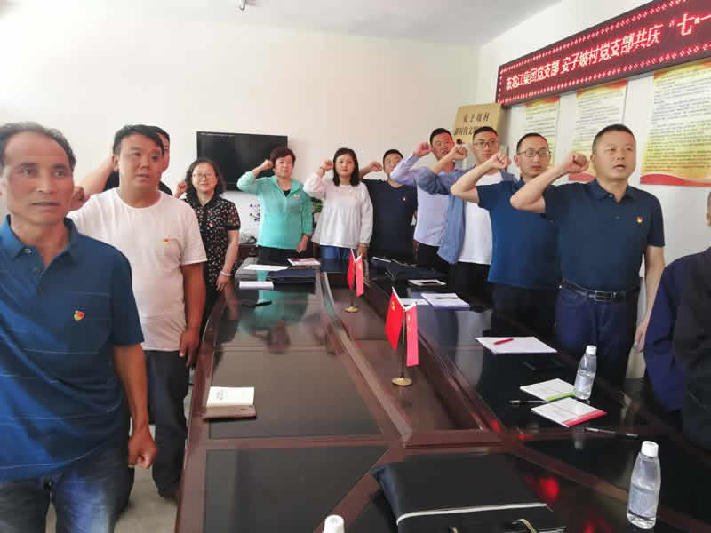 “感黨恩、憶黨史”，--市龍江城鄉(xiāng)發(fā)展集團(tuán)公司開展慶祝建黨99周年主題黨日活動(dòng)