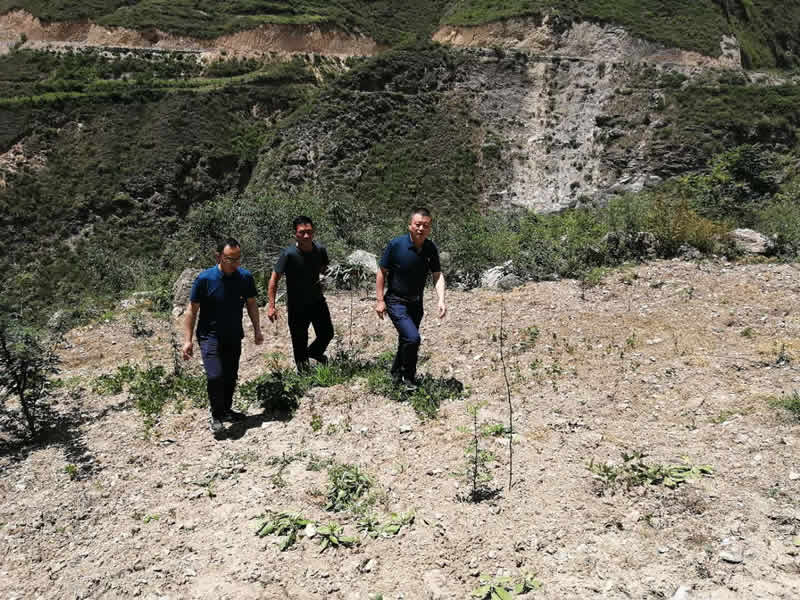 “感黨恩、憶黨史”，--市龍江城鄉(xiāng)發(fā)展集團(tuán)公司開展慶祝建黨99周年主題黨日活動(dòng)